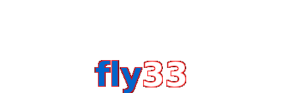 Fly33